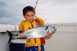 wolfdenfishing.com Tunnie