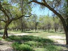 kazakhstanbirdtours.com Turanga