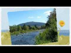 wn.com Turangi