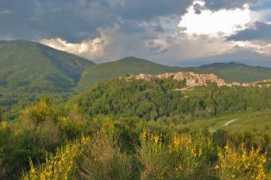 Turania