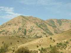 Turanska