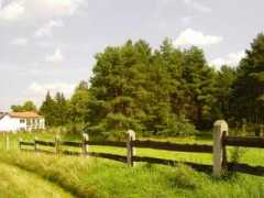 lturczynowicz.e-mazury.com.pl Turczynowicz
