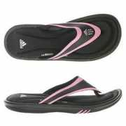 shoeshoetrain.com Tureia