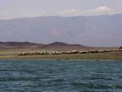 locationkenya.com Turkana