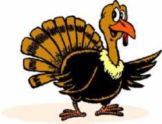 Turkeyman