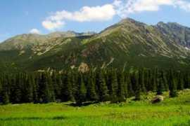 mojetatry.pl Turnie
