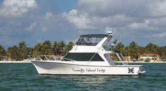 islanddream.com Turnis