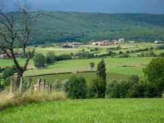 panoramio.com Turnus