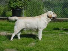 Turo