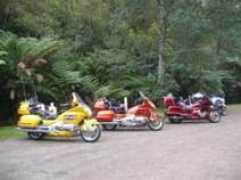 auswingriders.com Turras
