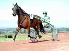stallallegra.ch Turrettini