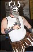 profightdb.com Tursas