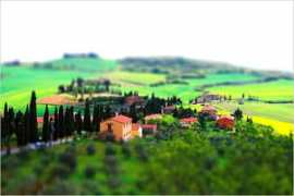 webitect.net Tuscany