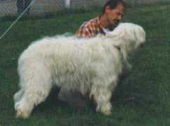 Tusha