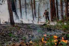 lentaregion.ru Tushat