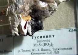 qeo.web.ru Tusio