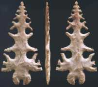 lithiccastinglab.com Tussinger