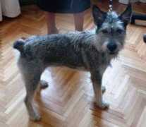 Tusya