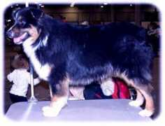 samilynaussies.com Tuuk