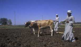 sverrelunde.com Tvile