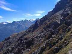 Twara