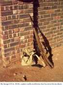 nrvoutdoors.com Twasi