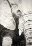juliebruton-seal.com Twasi