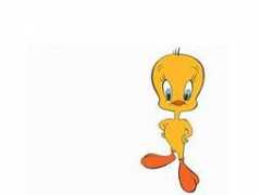 groovythemes.com Tweetybird