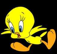 accademiadoperaitaliana.it Tweetybird