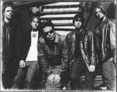 rocknworld.com Twg
