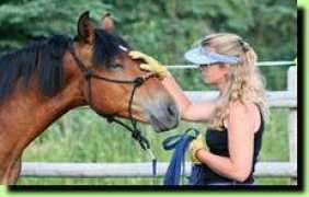 naturalhorsetraining.com Twinney