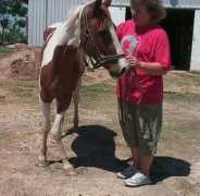 habitatforhorses.org Twizzle