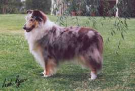 Tylah