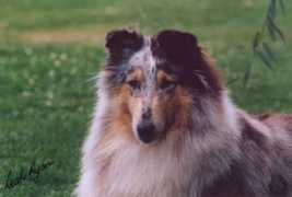 Tylah