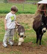 minidonks.com Tylera