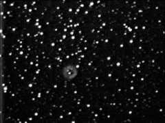 black-hole-net.mit.csu.edu.au Tylerlee