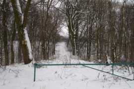 panoramio.com Tylu