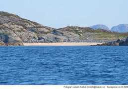Tyrhaug