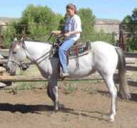 jnbarquarterhorses.com Tyroan