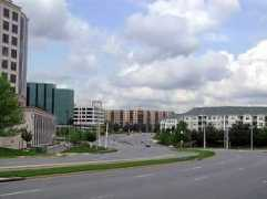 pedshed.net Tysons