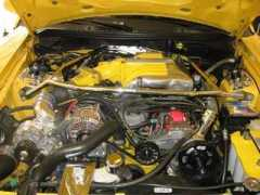 mustangworld.com Tyss
