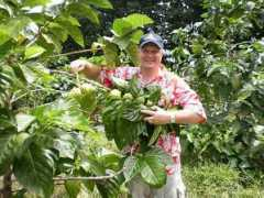 nonipolska.com Uberna