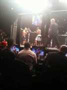 bloodyelbow.com Ueh