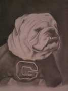 Uga
