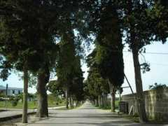 panoramio.com Uggiano