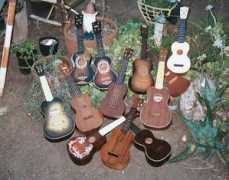 catfish1952.com Ukes