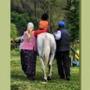 fotokritik.com Ulaba