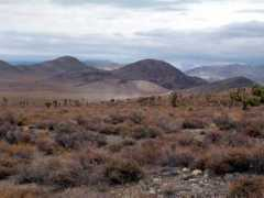 backroadswest.com Ulida