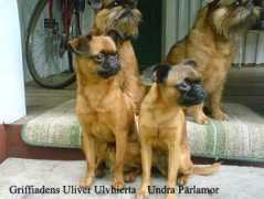 griffiaden.com Uliver
