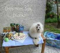 hafici.cz Ulliana